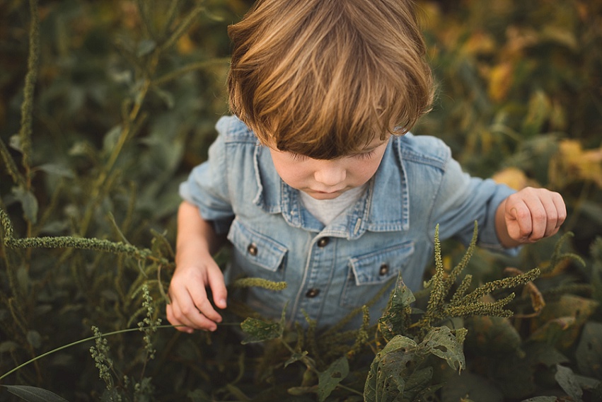 2016-10-17_0004.jpg 2016-10-17_0004.jpg